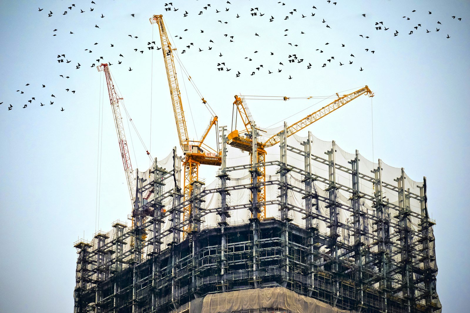 Grúas torre sobre una estructura metálica en construcción